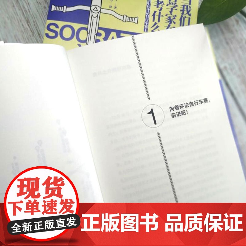 当我们思考时,哲学家在思考什么? 纪尧姆 马丁,凤凰联动 出品 江苏凤凰文艺出版社 正版书籍高清大图