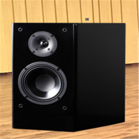 迪杰锐声(DIGIRESEARCH) 扬声器 DVS4