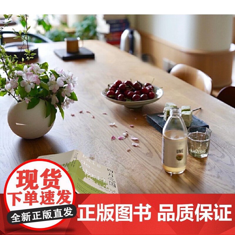 纯粹·四月之国 曼努埃尔·阿莱格雷 广西师范大学出版社 正版书籍高清大图