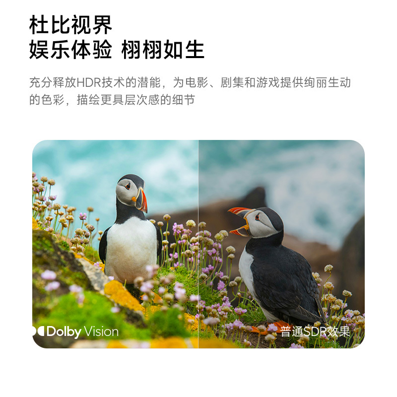 极米激光电视 S6超短焦家用高清投影仪 家庭影院 投影一体机高清大图