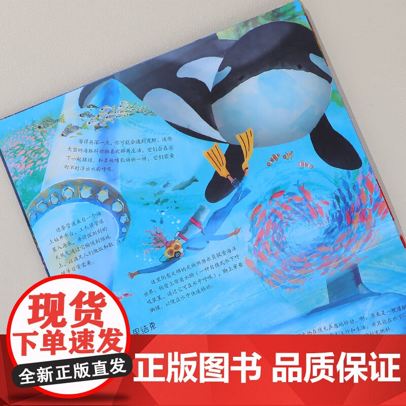 从地心到太空穿越之旅 3册 眼前的海洋 点读版 夏洛特·吉兰 著 科普读物高清大图