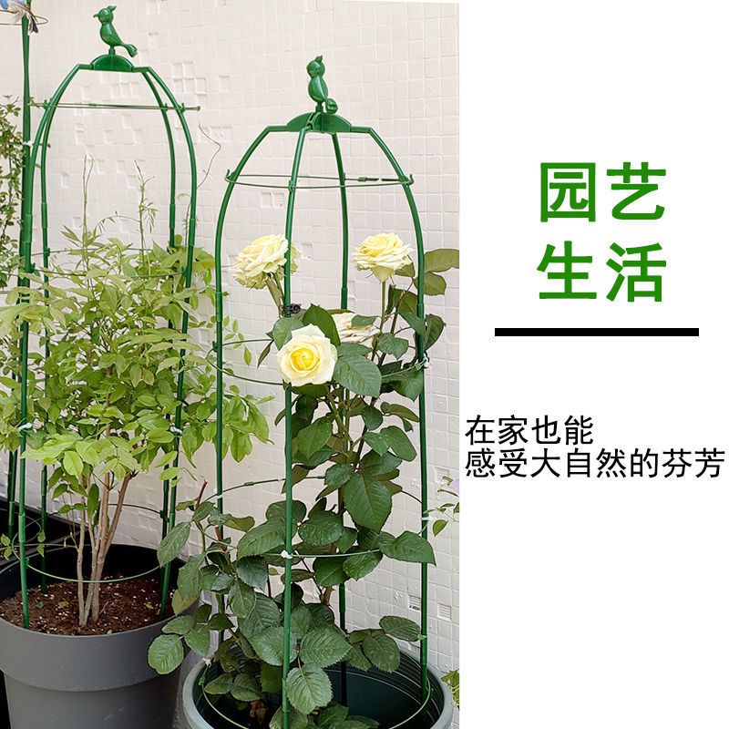 欧式爬藤花支架植物月季铁线莲紫藤支架攀爬花架阳台支撑架园艺