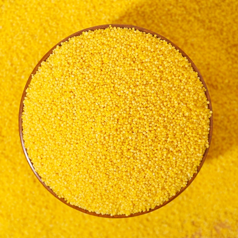 金珠泉小米25kg黄小米杂粮粗粮农家自产黄小米五谷杂粮