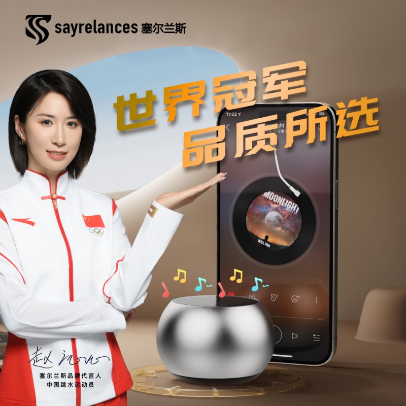 塞尔兰斯蓝牙音箱低音炮高音质电脑桌面音响车载迷你小型台式机收款电脑家用便携式扬声器 DZ-017高清大图