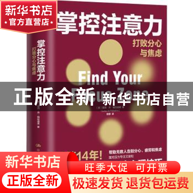 正版 掌控注意力——打败分心与焦虑 [美]露西·乔·帕拉迪诺(Lu高清大图