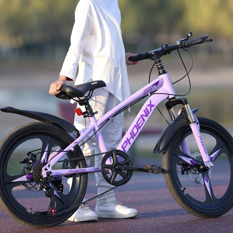 凤凰phoenix儿童自行车614岁女孩中大童男孩山地碟刹变速小学生20寸