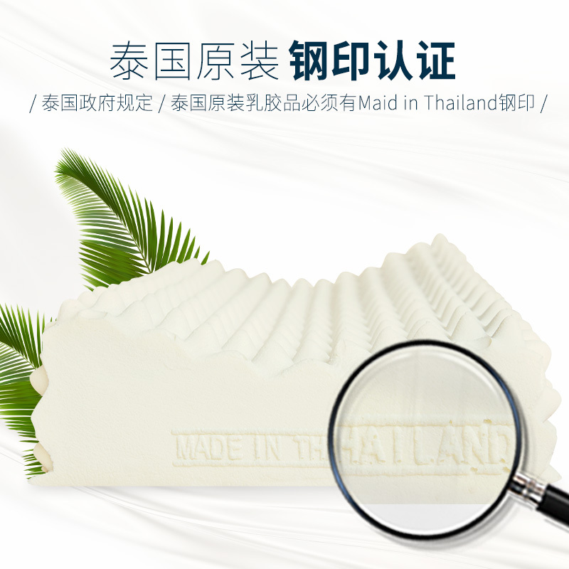 SIBEDS思贝思泰国进口天鹅绒成人枕