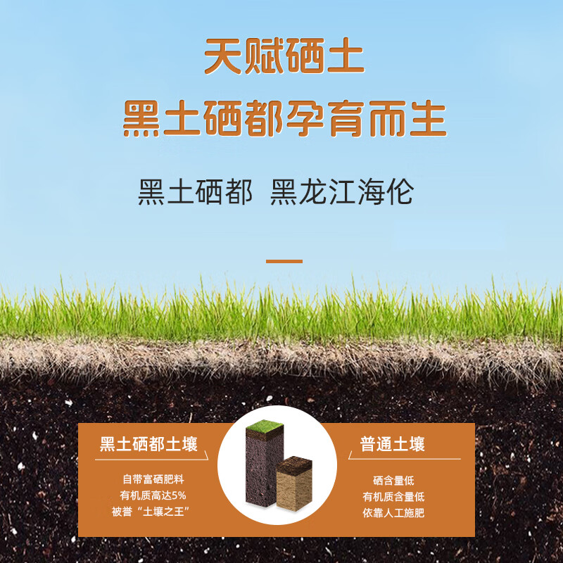 陇间柒月 硒都湖北恩施富硒大米黑龙江软香米海伦东北应季新米 有机富硒长粒香5kg高清大图