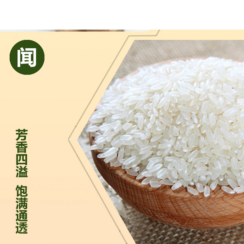 润穂 长粒香米10kg/袋 粳米
