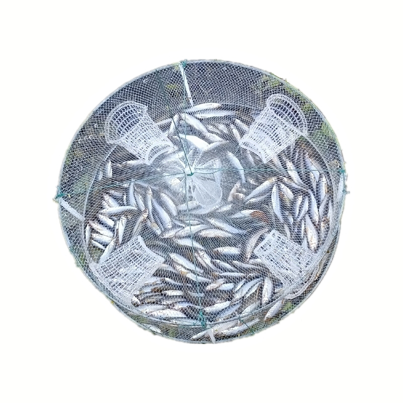 闪电客钓鱼工具报价_参数_图片_视频_怎么样_问答-苏宁易购