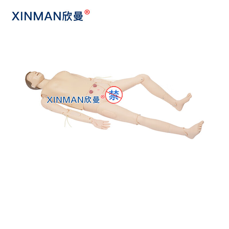 欣曼科教 高级成人综合训练模拟人 综合护理人体模型 急救护理二合一功能 无线版含笔记本电脑XM-ALS879A高清大图