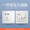 飞雕(FEIDIAO)开关插座 86型家用暗装超大面板 品意系列电源墙壁开关面板 品意白一开单双五孔