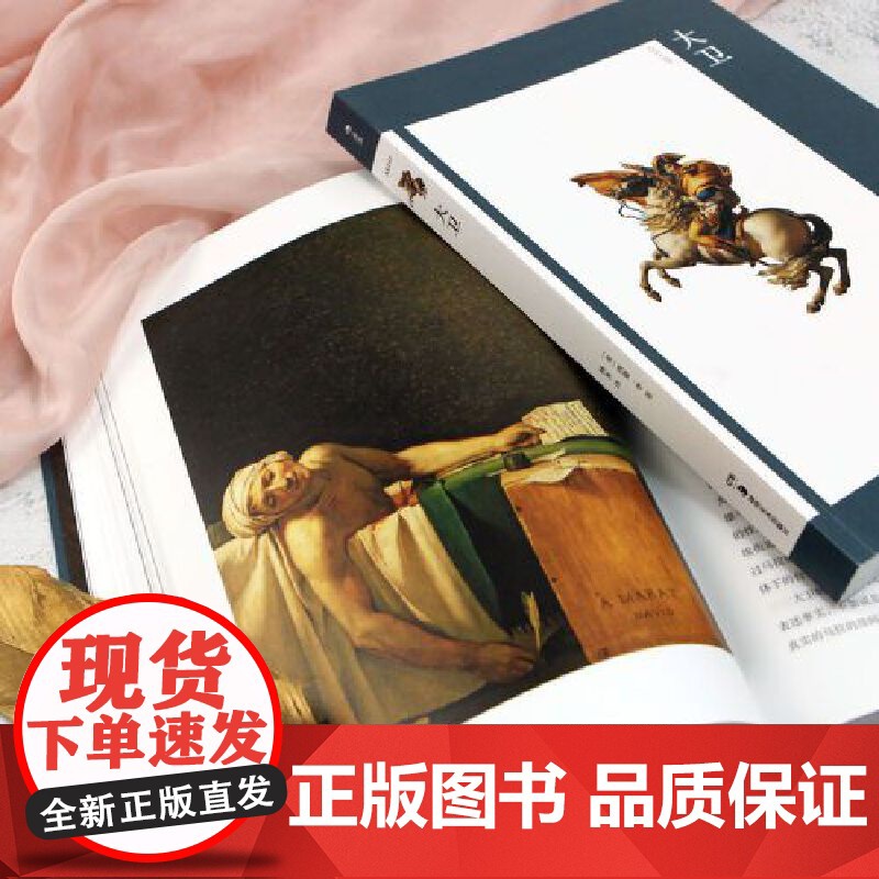 [央视网]艺术与观念 07 大卫 法国新古典主义画派奠基人 拿破仑时代的全景画家 以史为画 图绘波澜壮阔的法兰西历史高清大图