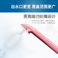 飞利浦(Philips)冲牙器通用清洁喷嘴HX8032/05灰色 2支装 适配HX8331/HX8401/HX8431