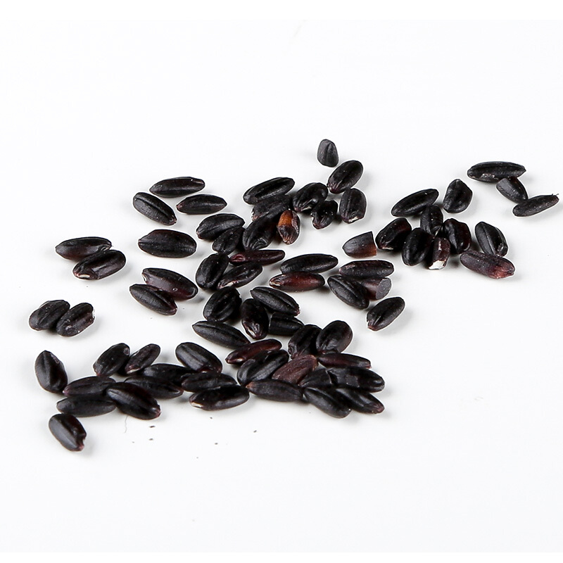 燕之坊 珍贡黑米(一品) 470g 粒粒精选 健康养生高清大图