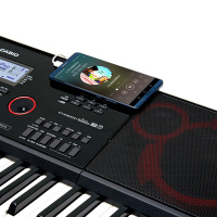 CASIO/卡西欧 CT-X3000 电子琴 卡西欧61键 成人 初学 电子琴 家用 儿童初学 入门 多功能 力度键