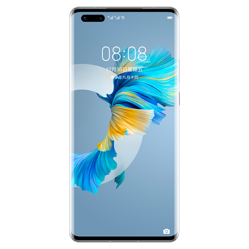华为/HUAWEI Mate40 Pro 5G 8GB+512GB 秘银色 麒麟9000 SoC芯片 超感知徕卡电影影像 有线无线双超级快充 全网通手机(含充电器及数据线)