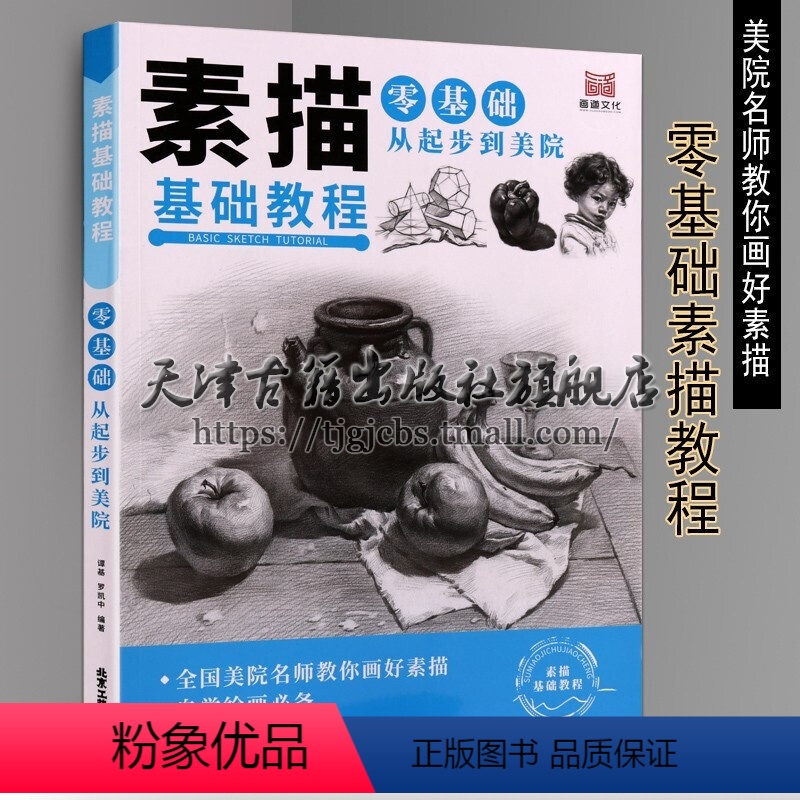 【正版】素描基础教程 零基础从起步到美学 美院名师教你学好素描 绘画技法书籍 北京工艺美术出版社