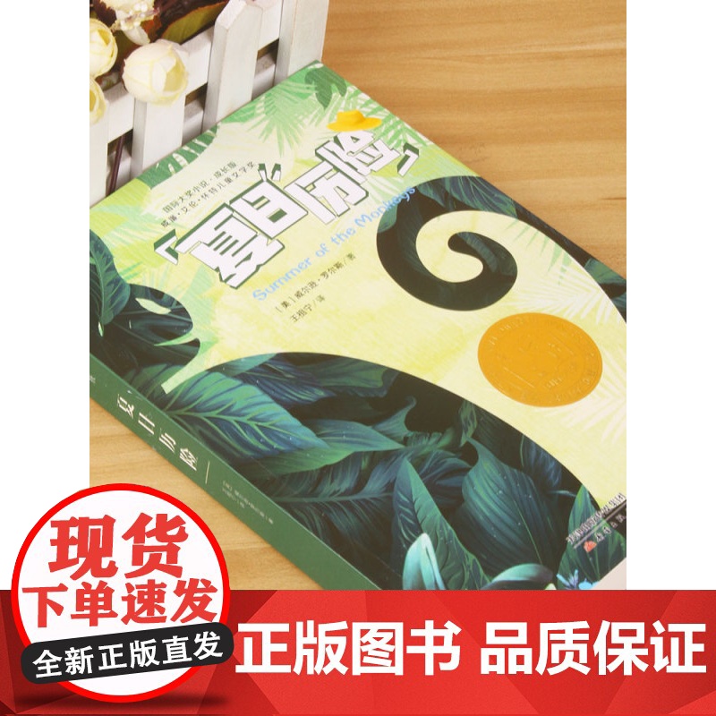 夏日历险记 大奖小说成长版 二三四五六年级小学生课外阅读书籍 6-12儿童故事书籍 儿童成长励志故事书 新蕾出版社高清大图