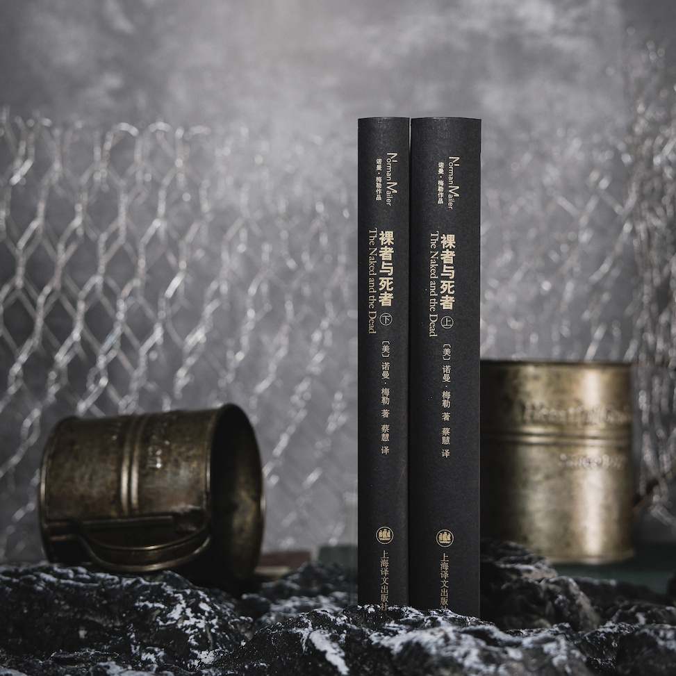 [正版]裸者与死者 [美]诺曼·梅勒 蔡慧 译 长篇小说 美国小说 二战 军事小说 上海译文出版社高清大图