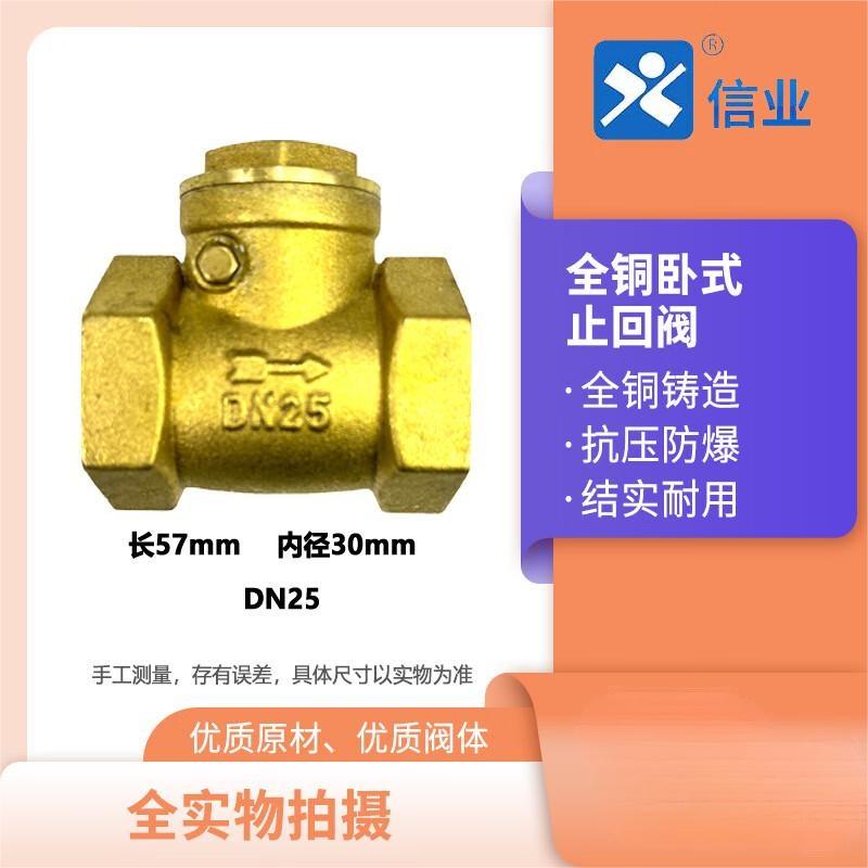 信业 全铜卧式止回阀 黄铜止水阀 单向阀逆止阀水表止逆阀高清大图
