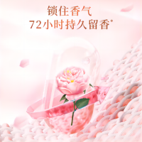 立白大师香氛洗衣液柔顺护衣 持久留香洁净护色洗衣香水 1kg