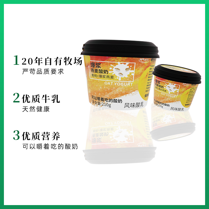 皇氏乳业神饭不着黄桃爆浆燕麦酸奶早餐饱腹210g*6杯搭配甲天下水牛纯牛奶200ml*10盒孕妇儿童学生补钙牛奶组合
