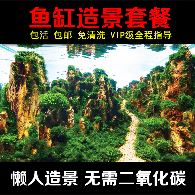 鱼缸造景套餐水摆件装饰小龟缸假山迷你观赏生态全套型布景材料
