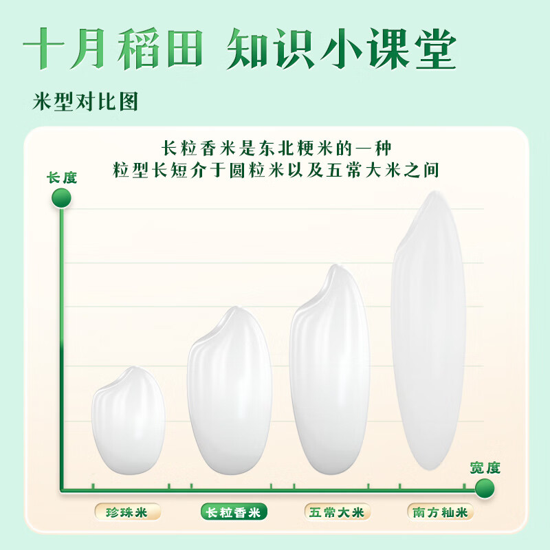 十月稻田 辽河长粒香大米 10斤高清大图