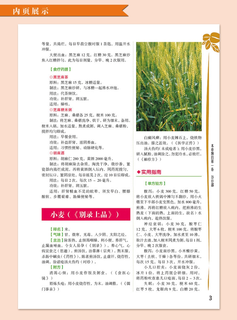 [醉染正版]食用本草纲目彩色图鉴彩图版 中草药食物本草彩色图谱图集 草部谷豆部菜部果部等中药材气味主治附单方验方食疗药膳高清大图