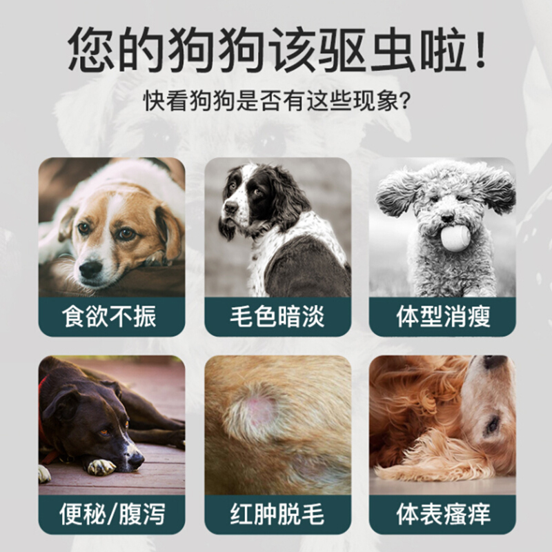 朗莫特犬用体内外驱虫药一支搞定0.5ml单只装