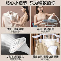 苏泊尔(SUPOR) 挂烫机家用蒸汽电熨斗立式挂烫衣服大功率手持便携式烫衣机 GT11CP-20[无熨烫板]