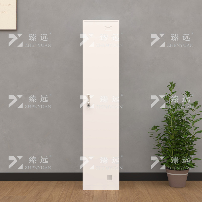 臻远 ZY-GYGC-28 窄边书柜资料柜铁皮文件柜 单一门