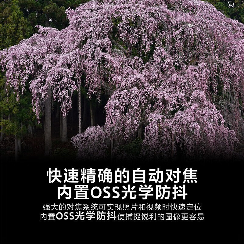 索尼(SONY)FE70-200mmF2.8GMOSSII(SEL70200GM2)远摄变焦G大师镜头高清大图