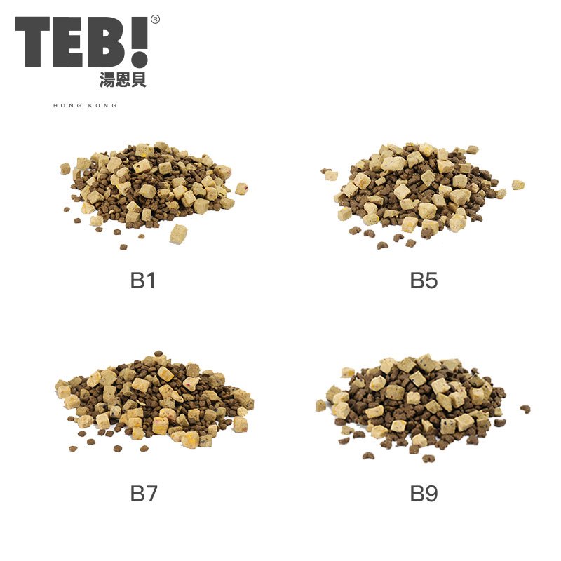 湯恩貝(TEB!)汤恩贝B5无谷冻干猫粮1.5kg比利时进口配方牛肉南瓜冻干全期全阶段猫粮猫干粮高清大图