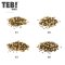 湯恩貝(TEB!)汤恩贝B5无谷冻干猫粮1.5kg比利时进口配方牛肉南瓜冻干全期全阶段猫粮猫干粮