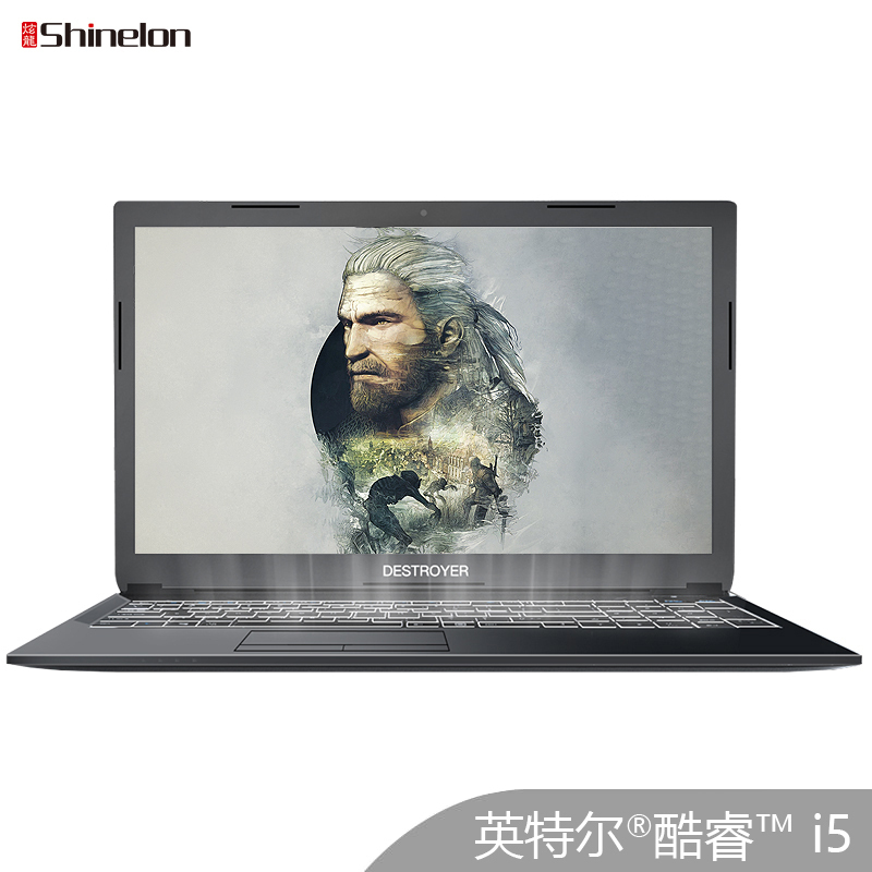 炫龙(Shinelon)毁灭者DD2代 15.6英寸吃鸡游戏本学生笔记本电脑(GTX1050ti 4G独显 I5-8400 8G 128GB+1TB IPS)