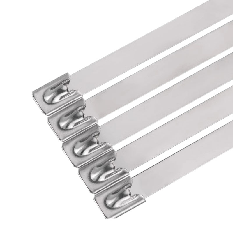 历途科技 不锈钢扎带4.6*400MM 100根/包高清大图