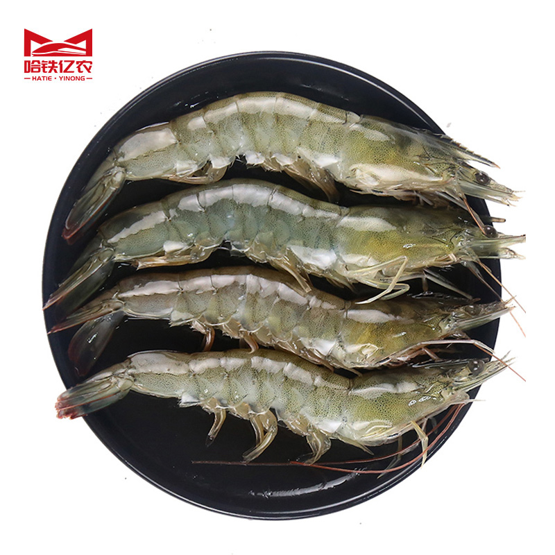 哈铁亿农 冻虾500g/斤高清大图