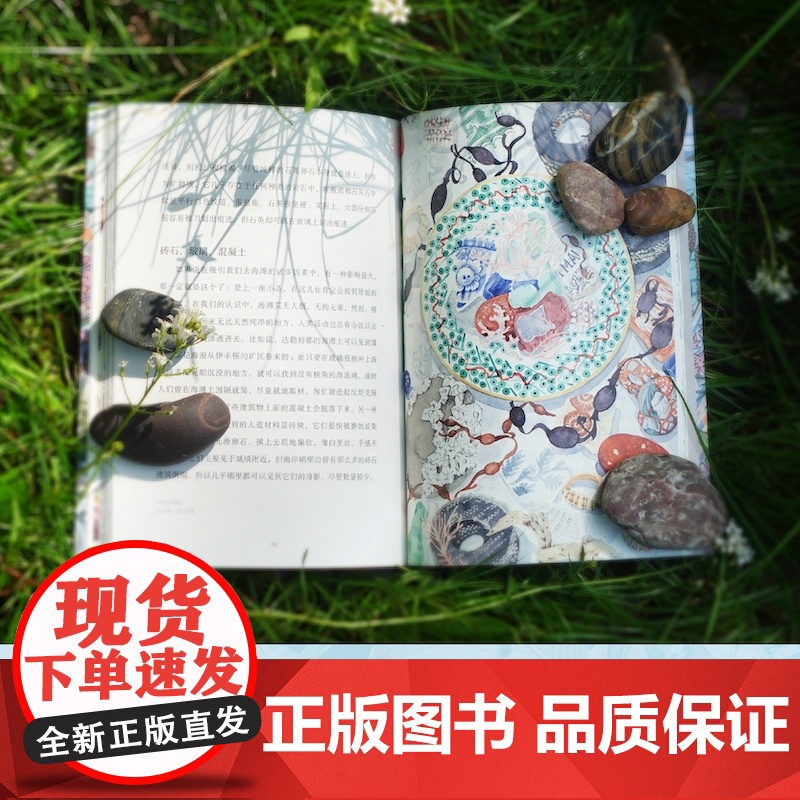 [天际线]卵石之书 收录艺术家安吉•莱温创作的一系列版画 全彩印刷含44幅彩色版画和水彩画 译林正版高清大图