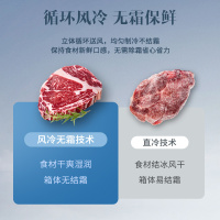 澳柯玛(AUCMA) 192升立式冷柜 冰柜冰箱 家用黄金容量 -40度深冷缩鲜 变频风冷一级节能 BD-192WPHS