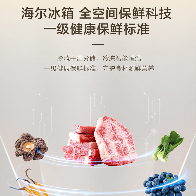 海尔(Haier)[山茶花系列]506升 迭代升级 全空间保鲜零嵌 506WGHTD14GYU1(白)高清大图