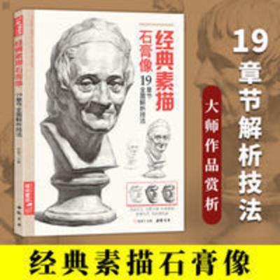 经典素描石膏像 经典素描石膏像 素描结构体块精选教材 头骨肌肉分面卦像头像素描