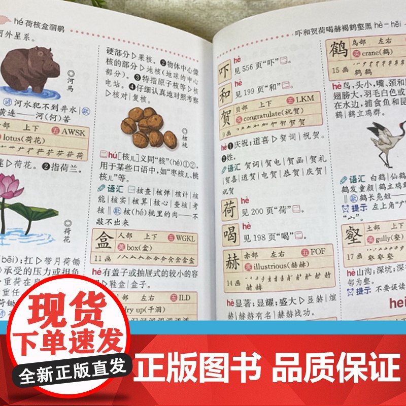 [768页]彩图版小学生多功能字典 一年级1~6年级小学生专用全功能字典通用语文教材汉字速查组词笔顺新编新华字典正版人教高清大图