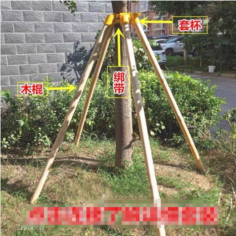 防风支撑架杆固定器塑料套杯扎绑带拉紧带树林花圃树苗绿化四脚稳