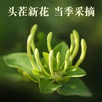 [新人特惠]金银花 25g/罐 1罐装 精选金银花 当季新鲜新货