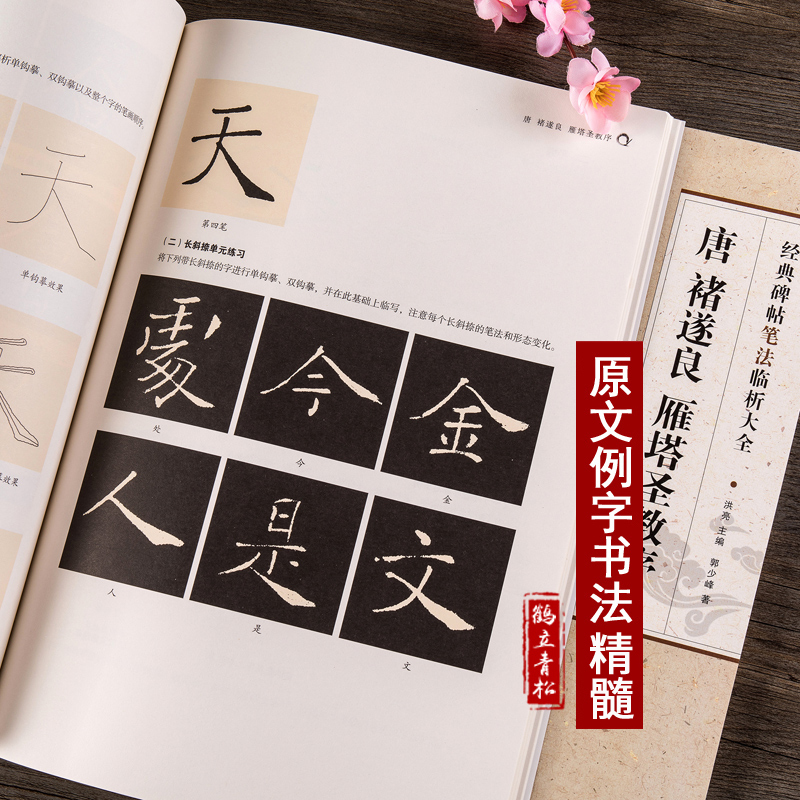 [正版]唐褚遂良 雁塔圣教序 碑帖笔法临析 笔法解析与临摹 作品举例 简体旁注楷书毛笔笔法临摹字帖 安徽美术出版社