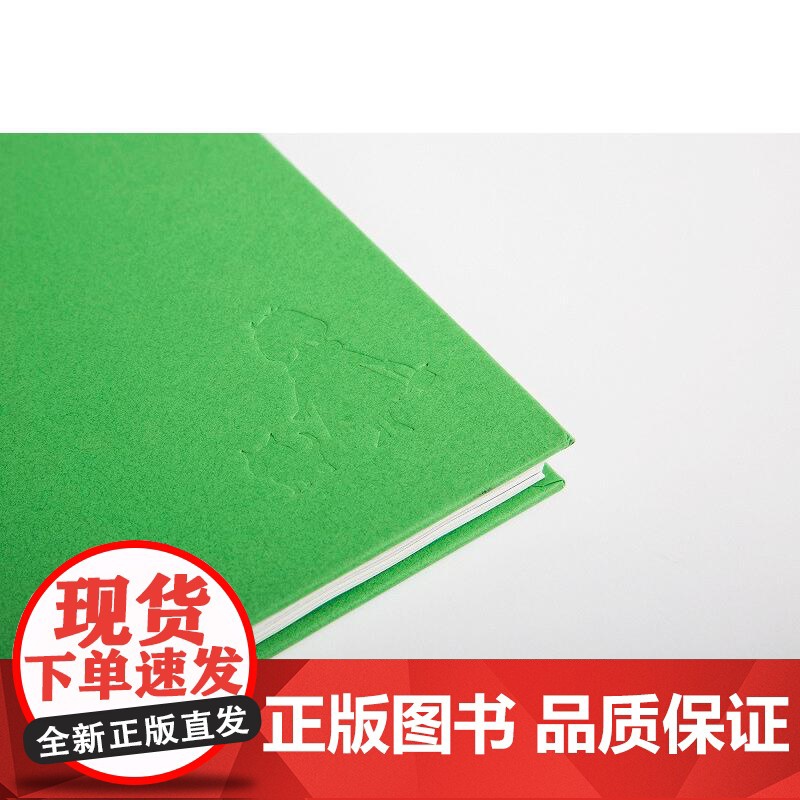 绿野仙踪 童话 绘本 全译本 精装 西班牙插画 茱莉亚 萨达 彩图绘本 马爱农译 世界知名童话系列 云南人民出版社 果麦高清大图