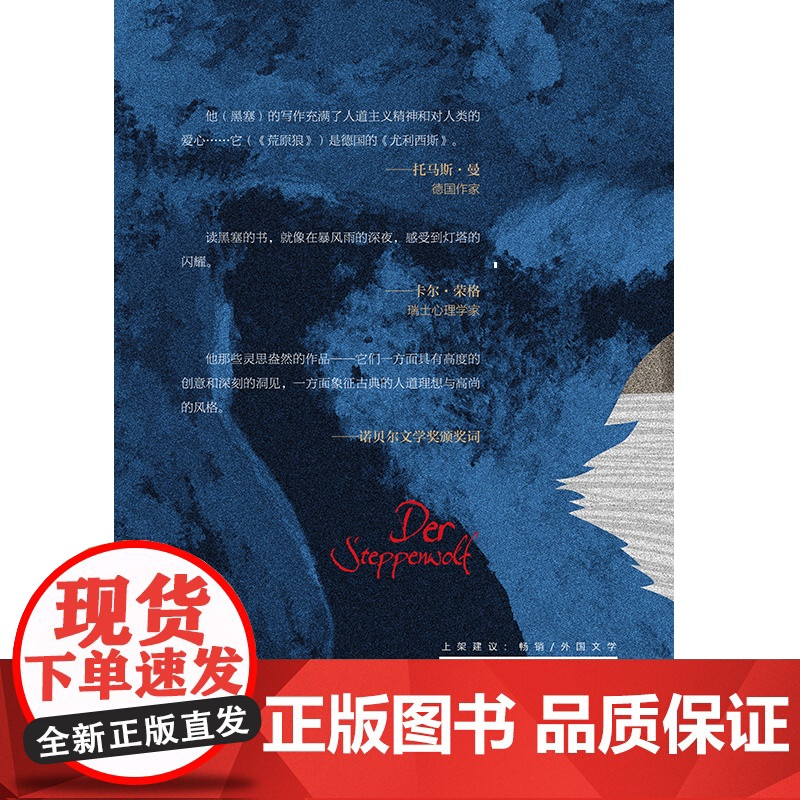荒原狼全新译本 诺贝尔文学奖得主黑塞代表作外国经典小说一部反对平庸的勇气诗篇 外国经典长篇诺贝尔文学奖得主黑塞自传式小说高清大图