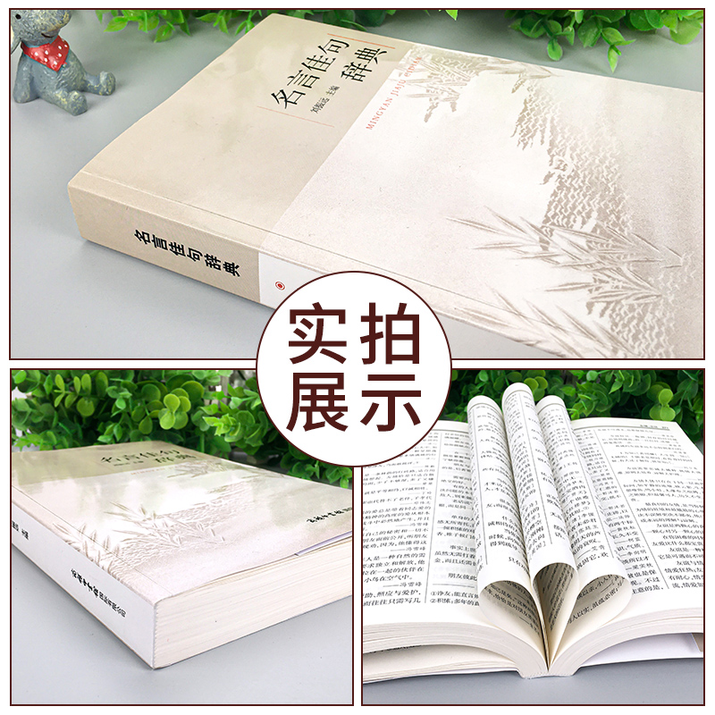 每日箴言:一句话改变人生 [正版]名言佳句辞典书籍高中小学六年级初中全集书阅读中外名人名言语录高考语文课外工具书经典语录高清大图